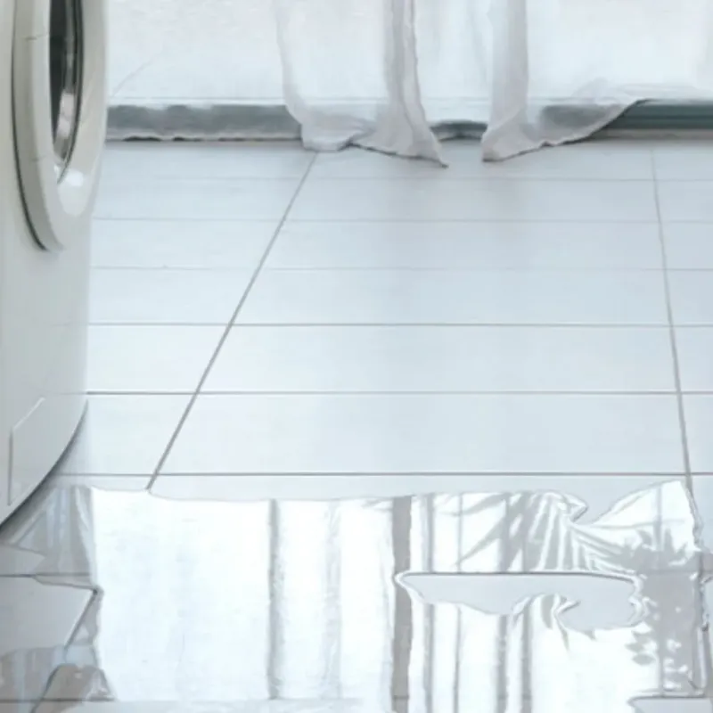 Appliance Leak Cleanup in Meadow Lakes, AK