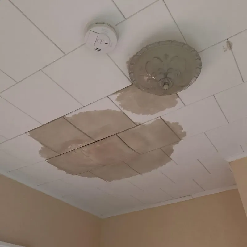Ceiling Water Damage Repair in Meadow Lakes, AK