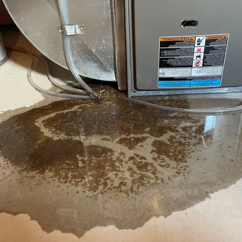 Pipe Burst and Leak Restoration in Meadow Lakes, AK