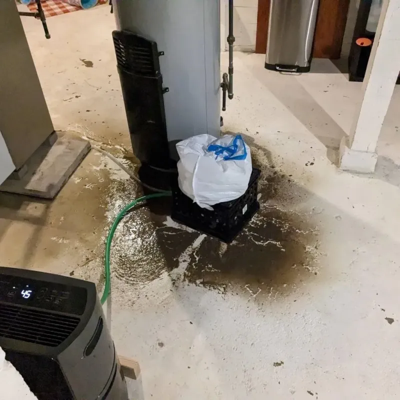 Sewage Backup Cleanup Service in Meadow Lakes, AK